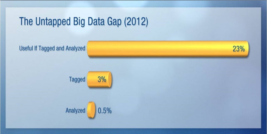 The Untapped Big Data Gap 2012 - IDC